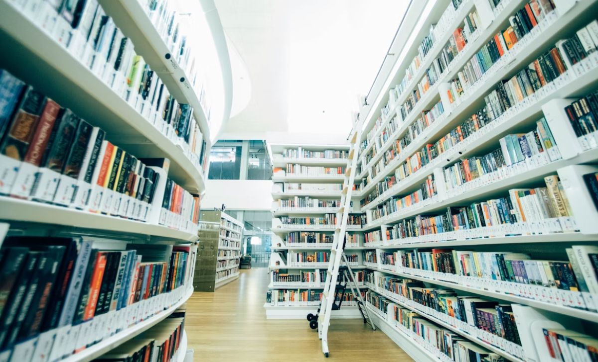 The Evolution of the Book