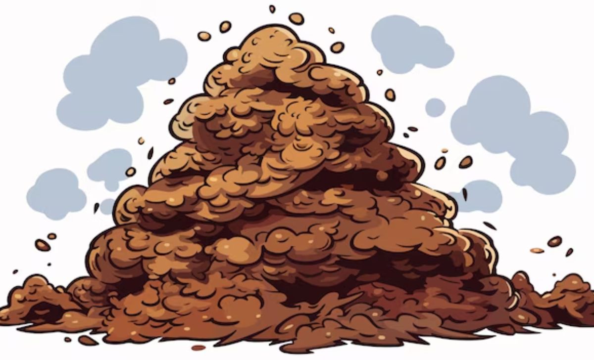 why isn’t the planet buried under mountains of Poop?