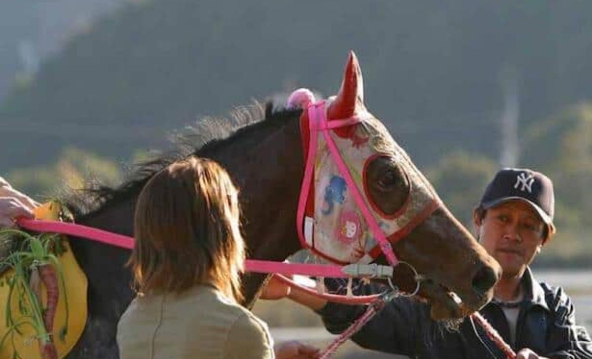 Haru Urara, Japanese Racehorse Famous For 113 Straight Losses, Dies At 29 (2)