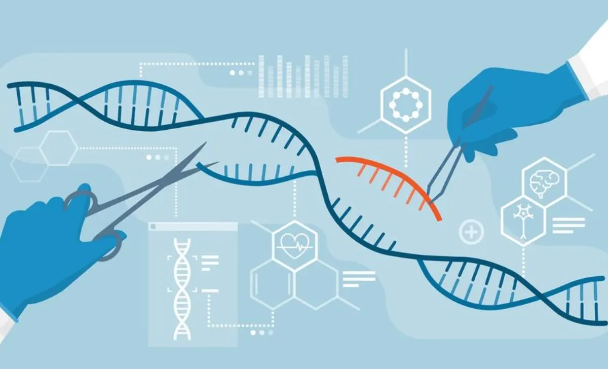 Is It Ethical to Allow Humans to Control Genetic Modification?