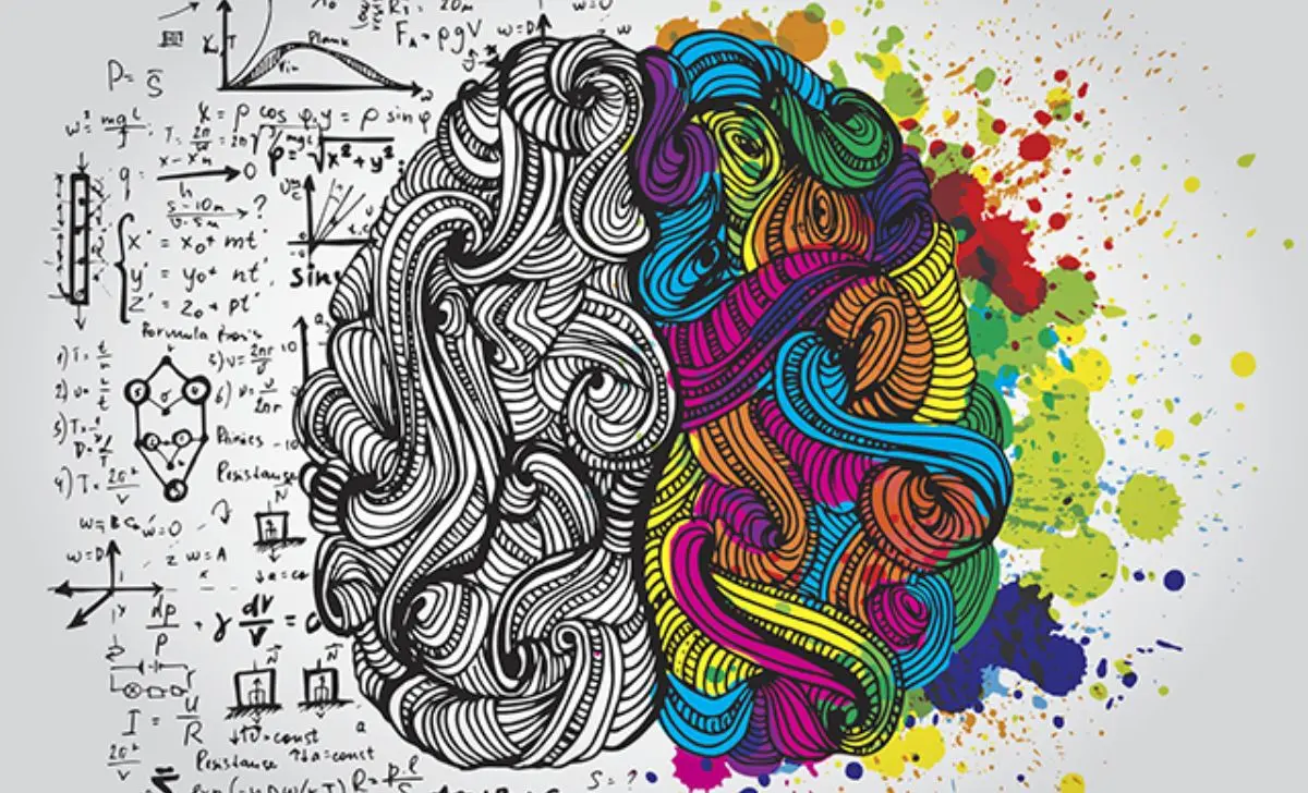The Truth Behind the Left Brain–Right Brain Myth