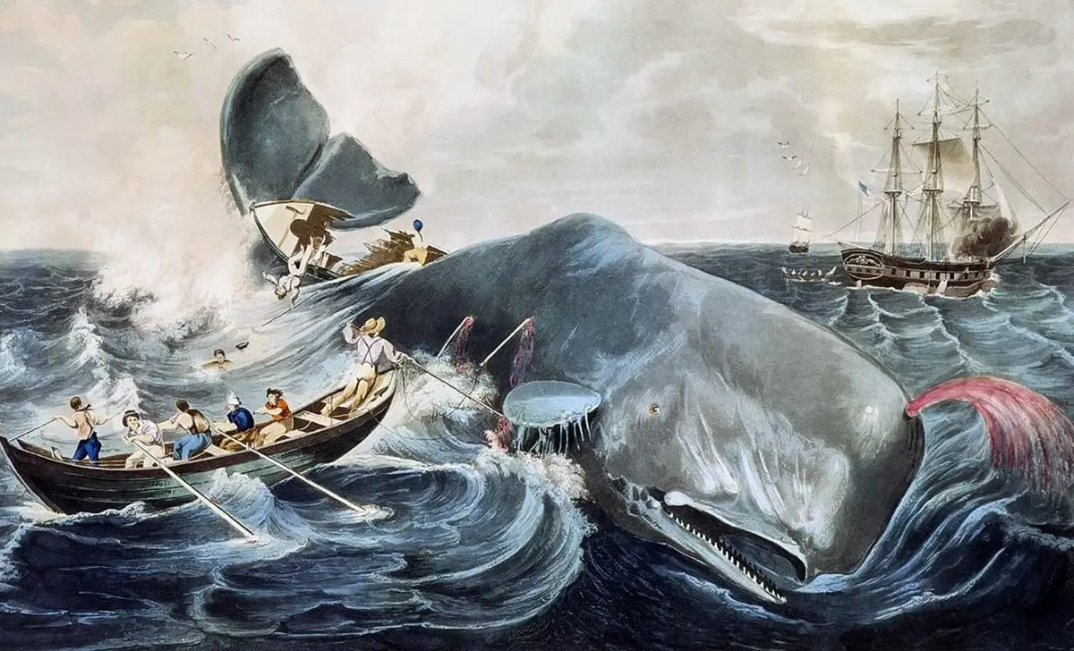 Why Should You Read Moby Dick?