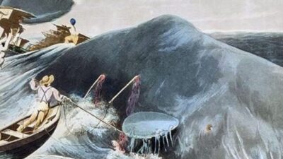 Why Should You Read Moby Dick?