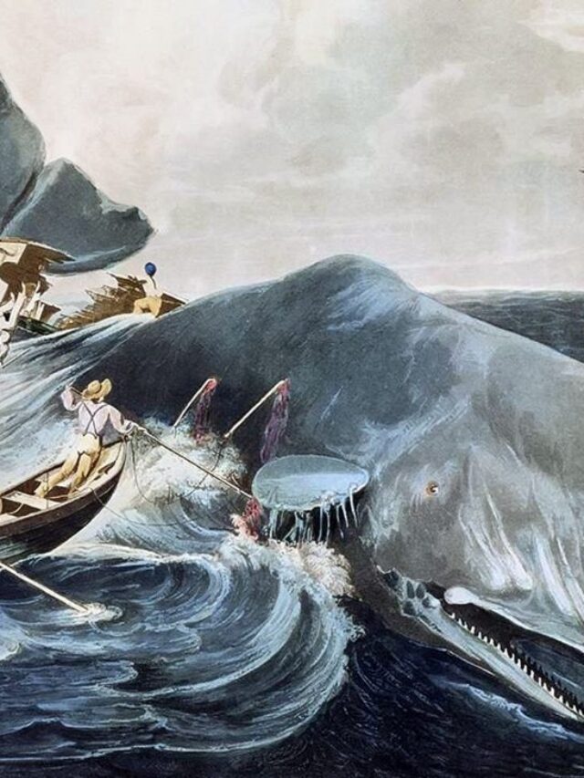 cropped-Why-Should-You-Read-Moby-Dick-3.jpg