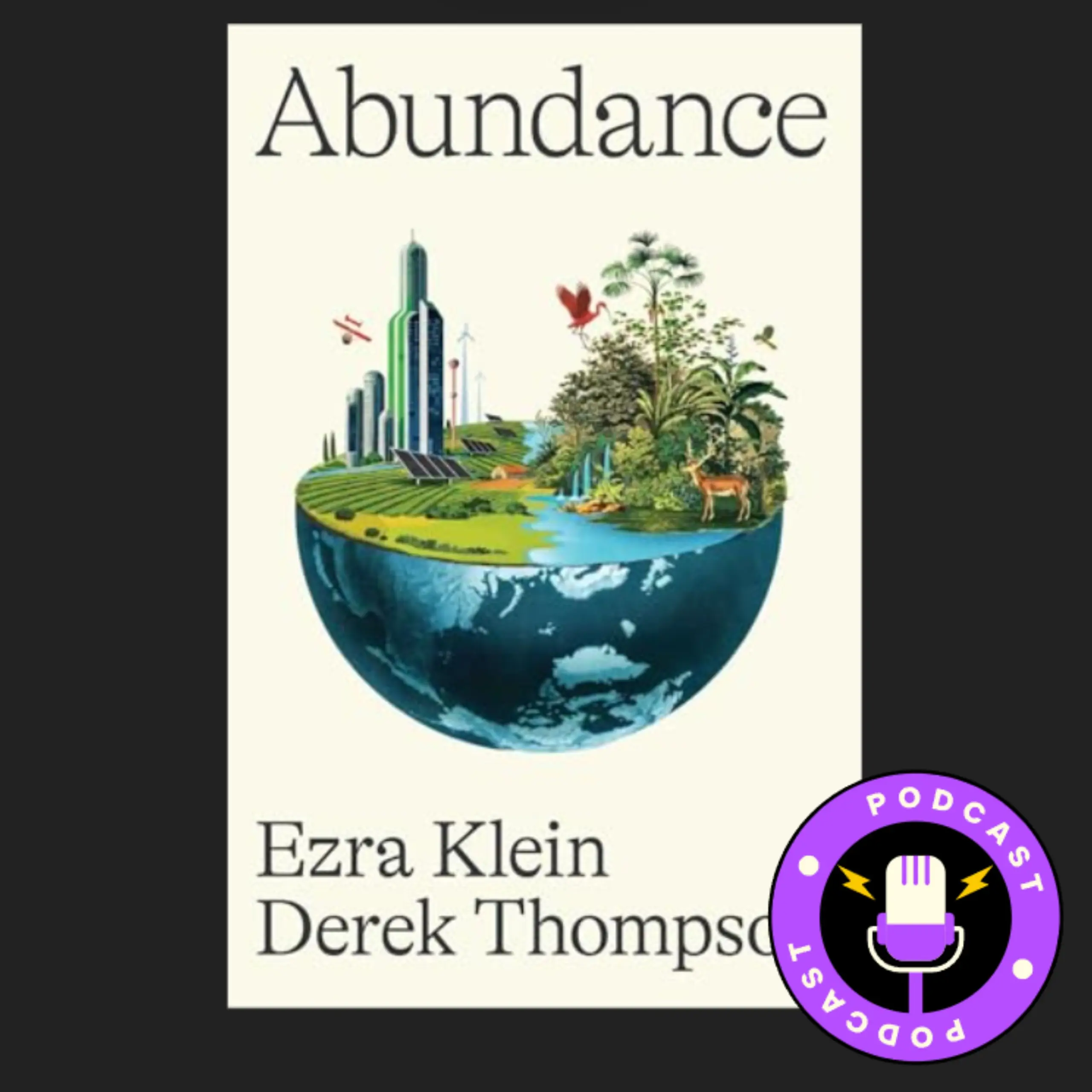 Abundance: By Ezra Klein and Derek Thompson | Book Review Podcast