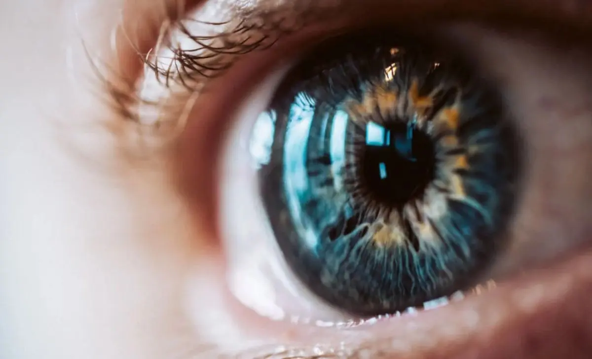 The Eye vs. The Megapixel Camera Understanding Resolution and Visual Perception