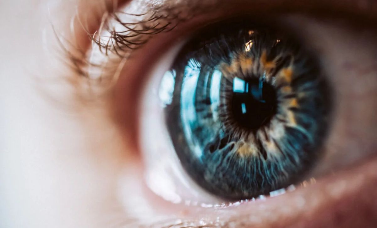 The Eye vs. The Megapixel Camera Understanding Resolution and Visual Perception