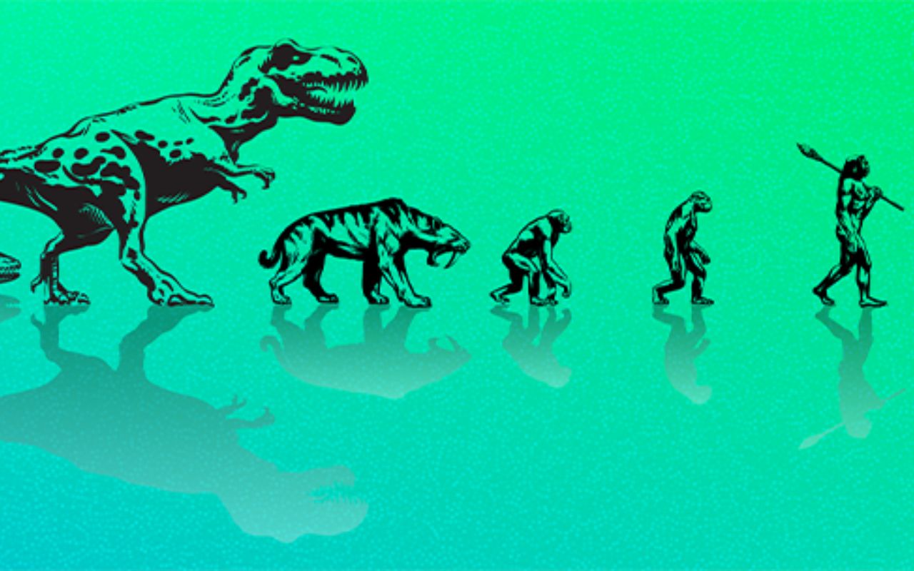 Debunking Myths and Misconceptions About Evolution A Closer Look