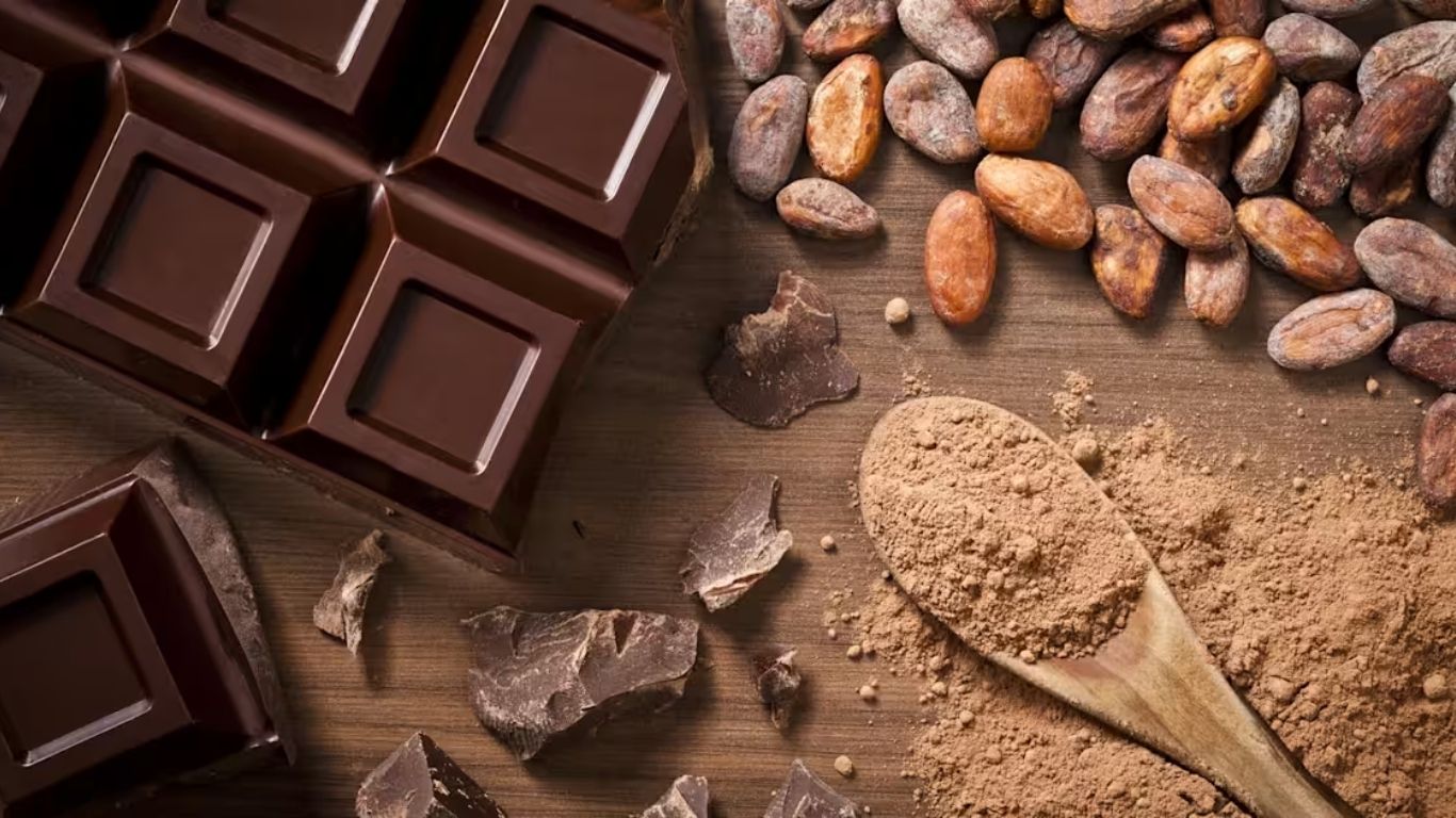 The Bittersweet History of Chocolate