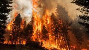 Zombie Fires Explained The Underground Blazes That Refuse to Die (3)