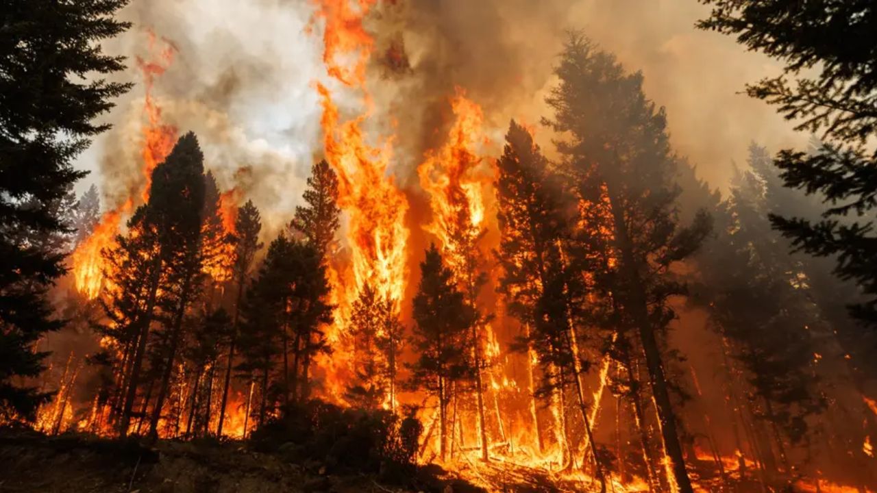 Zombie Fires Explained The Underground Blazes That Refuse to Die (3)