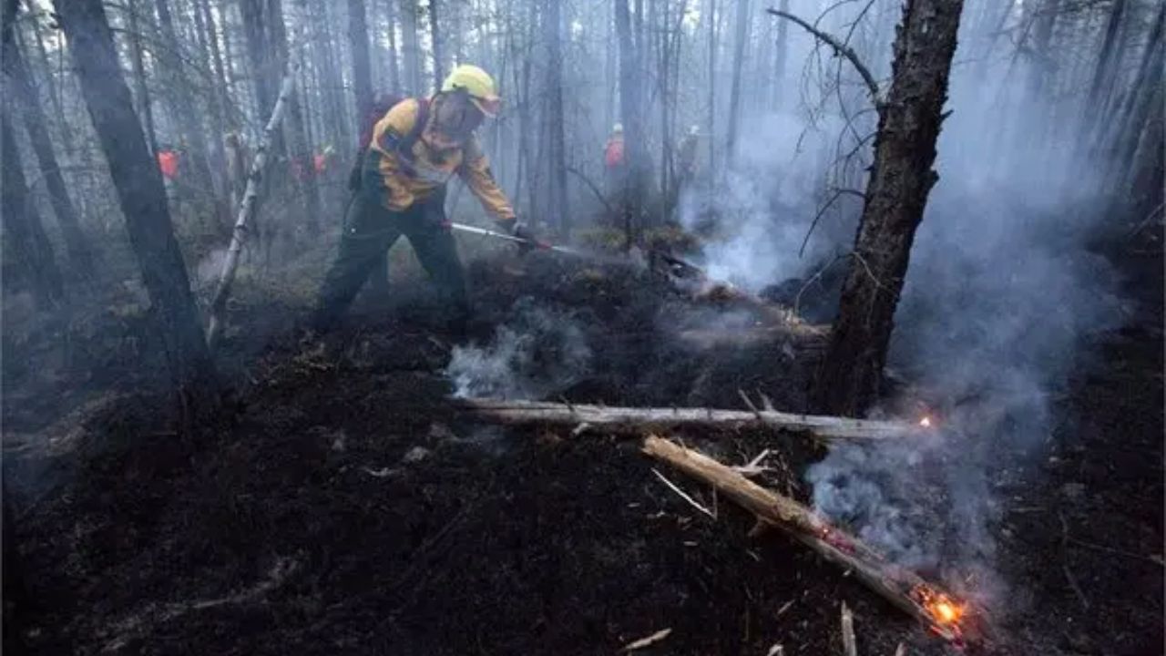 Zombie Fires Explained The Underground Blazes That Refuse to Die